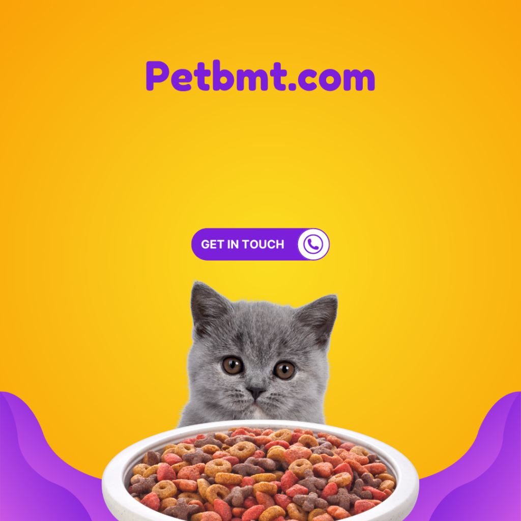 petbmt.com