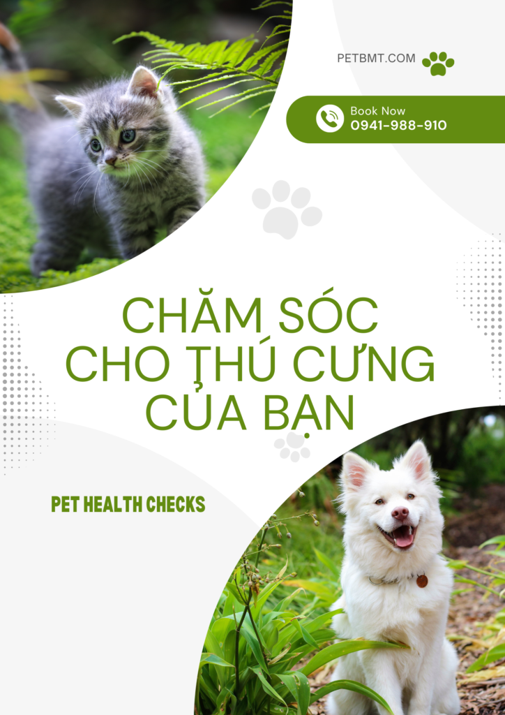 Cách trị bệnh tiêu chảy cho chó con mới sinh tại nhà mà không cần thuốc kháng sinh